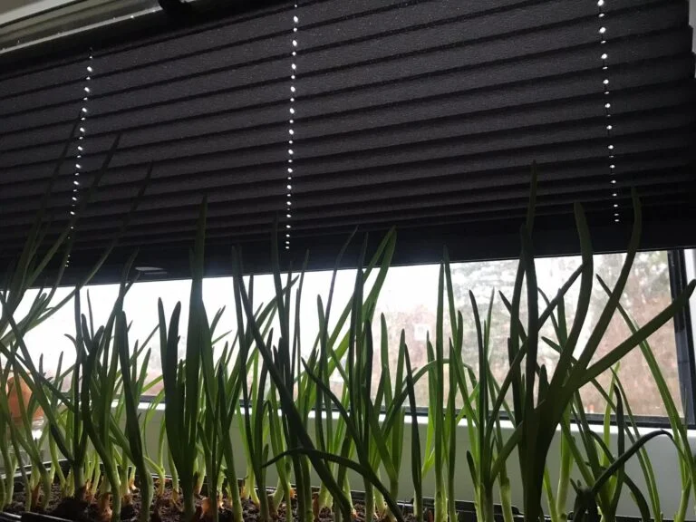 Plisētās žalūzijas kopšanas instrukcija