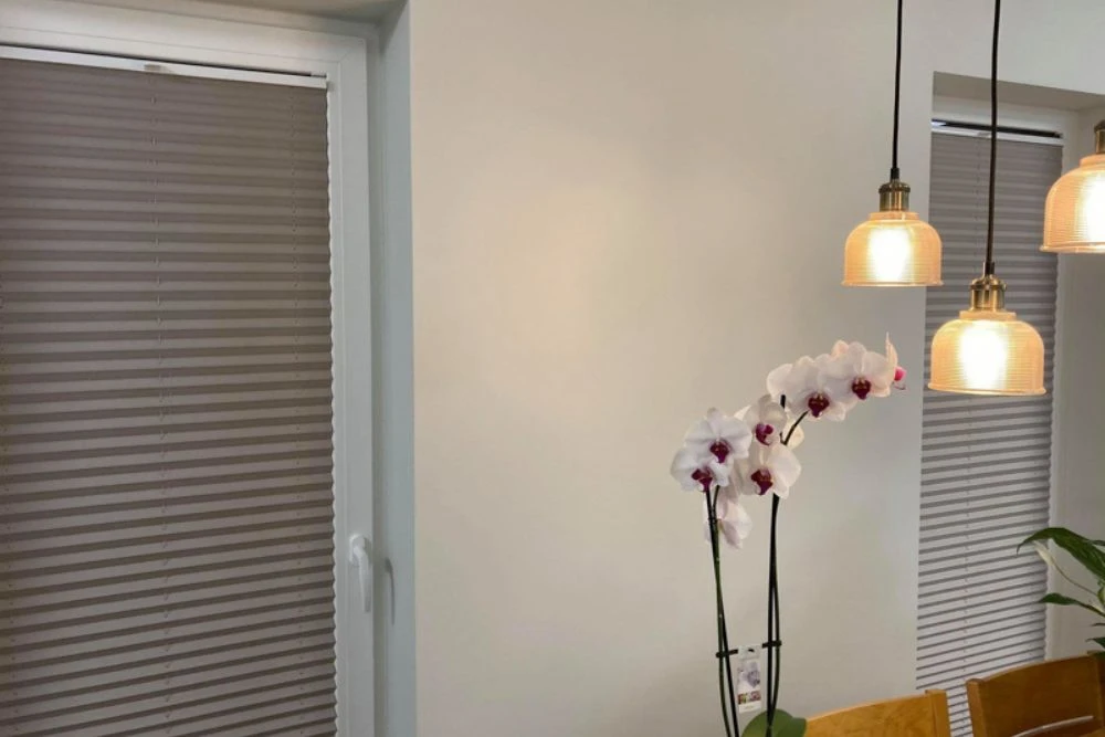 Plisēta žalūzija - image 5